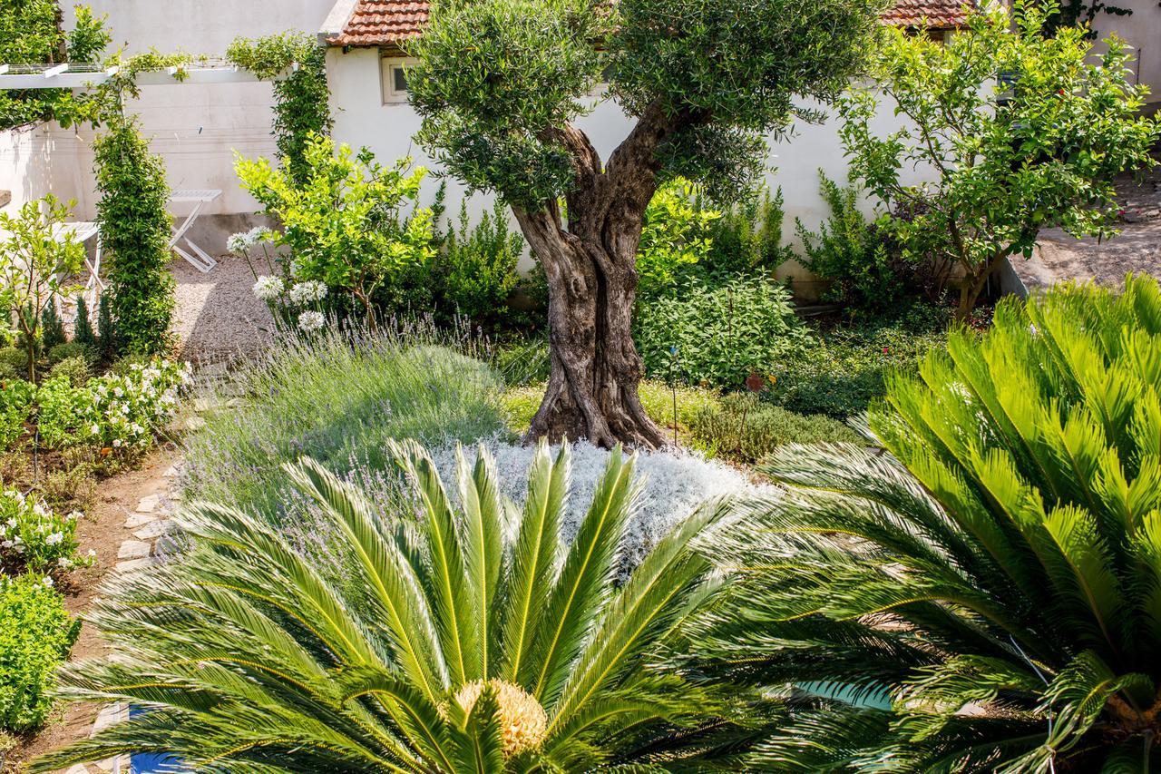 Reggine Holiday Apartments سانتّانييلّو المظهر الخارجي الصورة