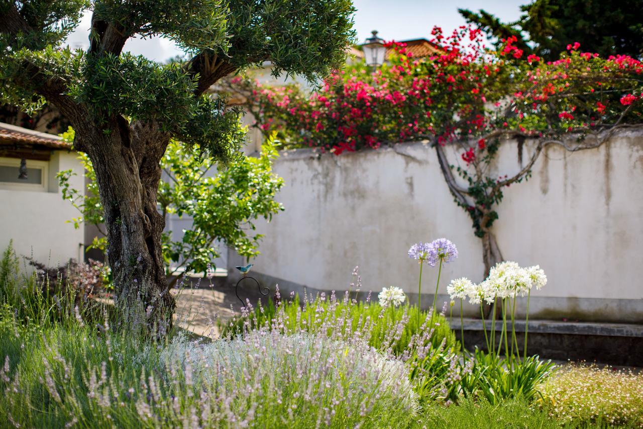 Reggine Holiday Apartments سانتّانييلّو المظهر الخارجي الصورة